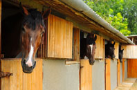free Llantwit stable construction quotes